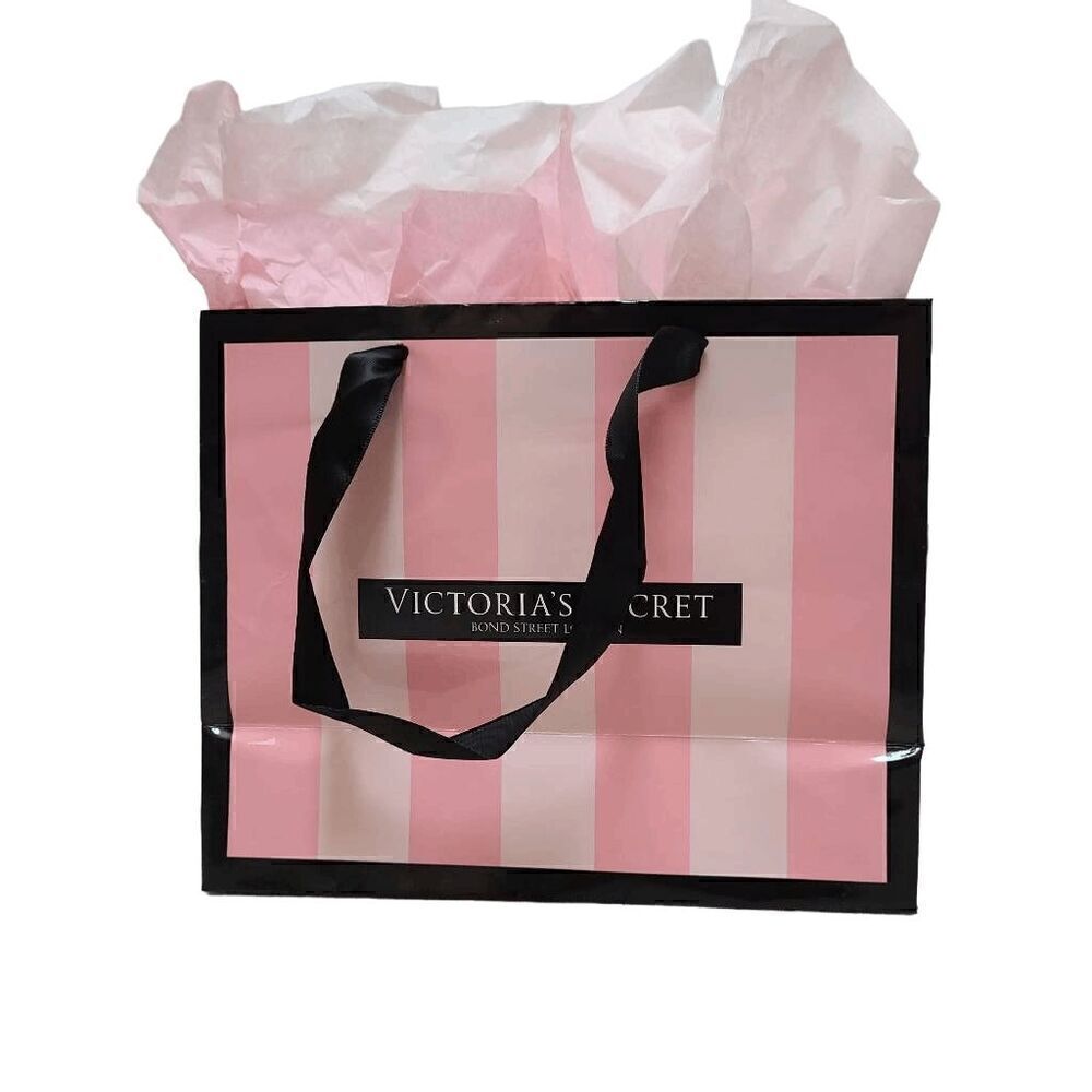 💗 VICTORIA'S SECRET Empty Paper Pink Shopping Gift Bag Cloth Handles w/Tissues